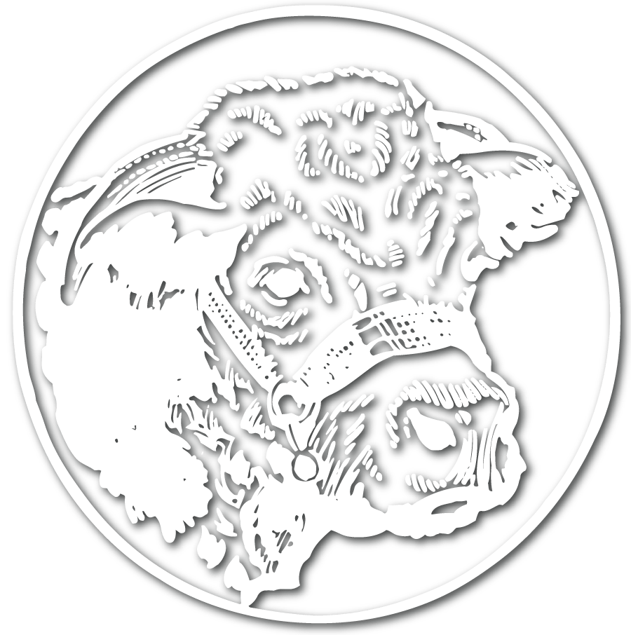 Parsons Livestock Auction LLC Cattle Market KS